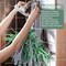 65 Pcs Mix Dried Eucalyptus Stems & Lavender Bundle for Shower, 17" Natural Real Preserved Eucalyptus Leaves Greenery, Lavender for Hanging Shower Plants, Flower Arrangements, Vase Decor
